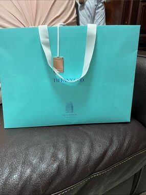Tiffany & Co. Signature Robin's-Egg Blue Gift Bag with White Ribbon